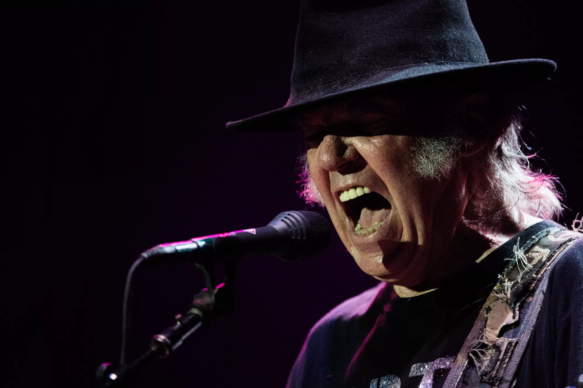 Neil Young & The Crazy Horse indspiller første album i syv år