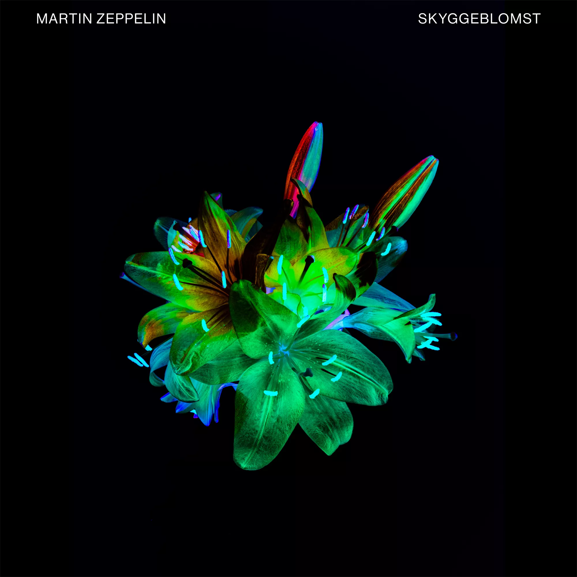 Skyggeblomst - Martin Zeppelin