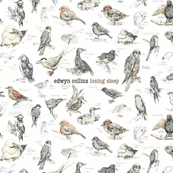 Losing Sleep - Edwyn Collins