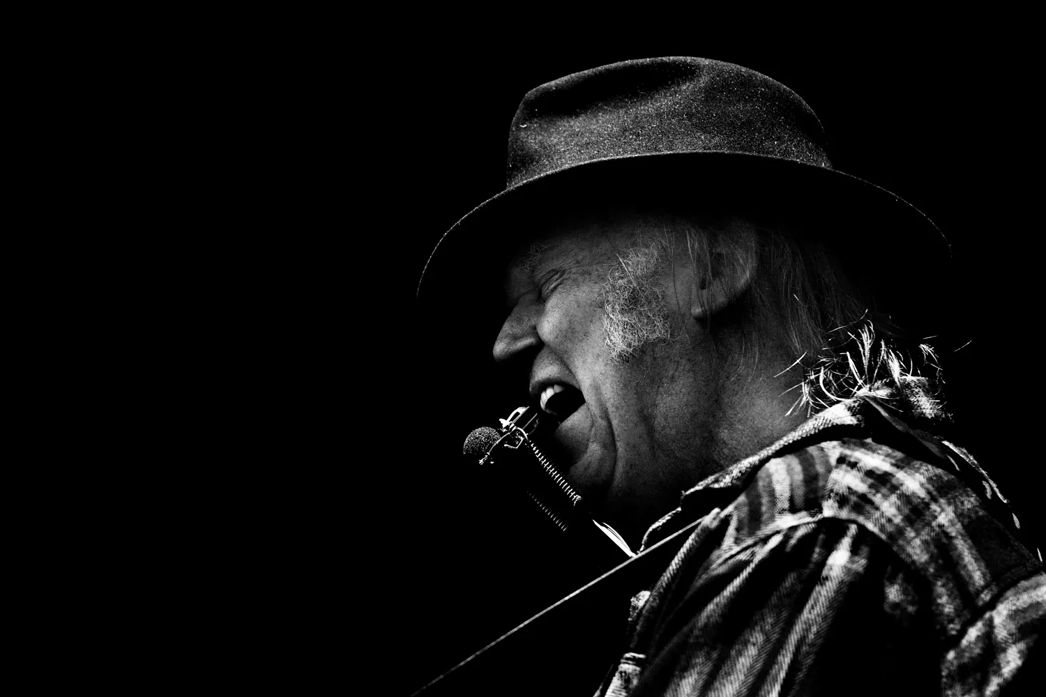 Neil Young & Crazy Horse udgiver ny single og afslører albumtitel