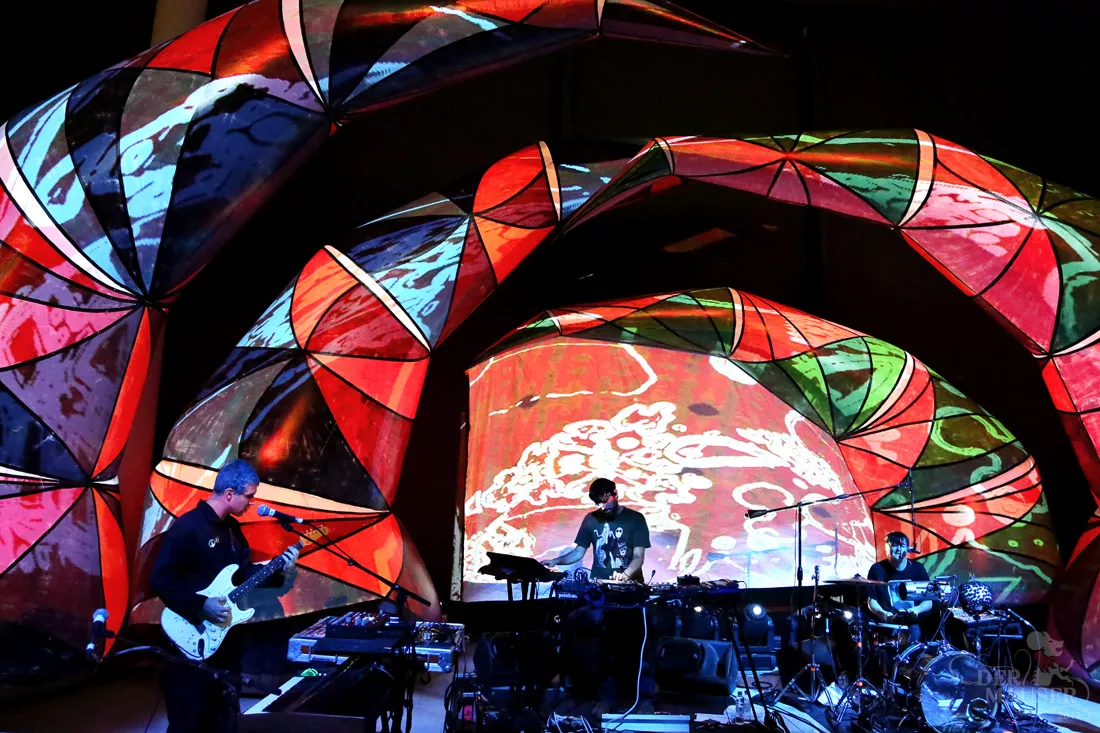 Animal Collective: Roskilde Festival, Arena