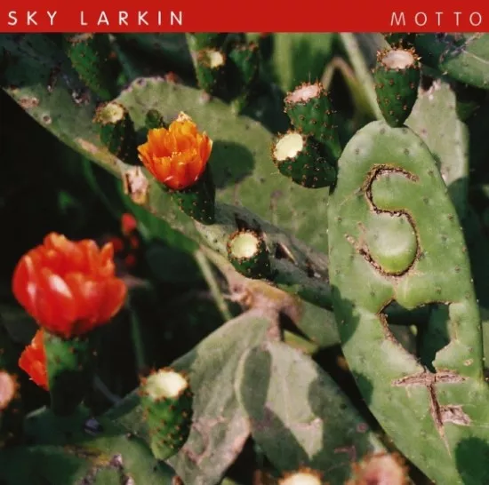 Motto - Sky Larkin