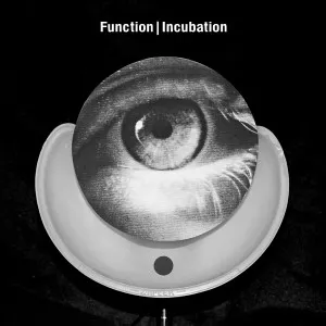 Incubation - Function