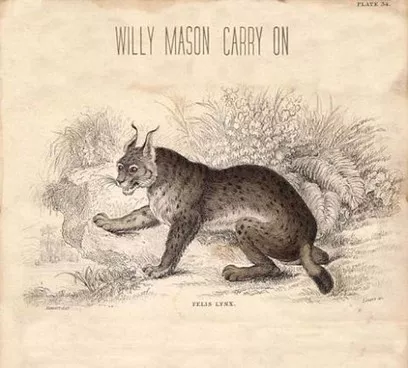 Carry On - Willy Mason
