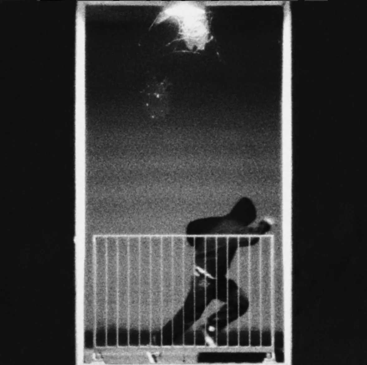 Hovedløs - Will finder håbet midt i melankolien og hjertesorgen på gennenført ep