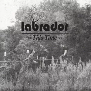 This Time - Labrador