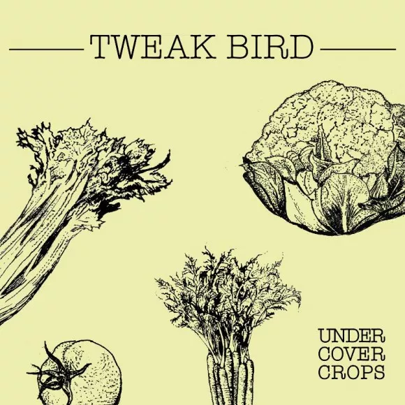 Undercover Crops - Tweak Bird