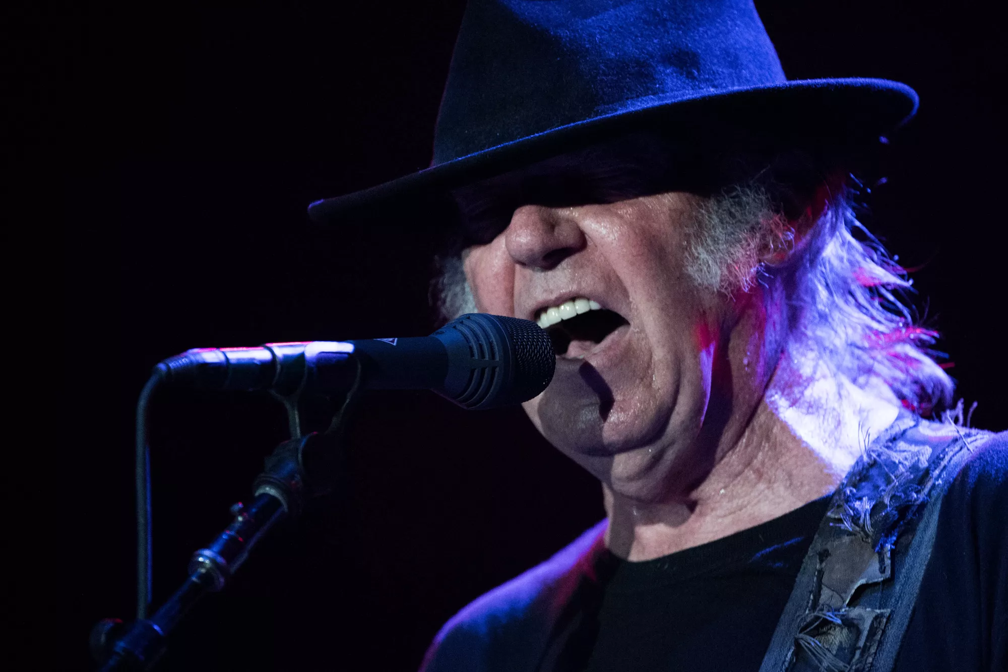 Neil Young opfordrer Spotify-ansatte til at sige op