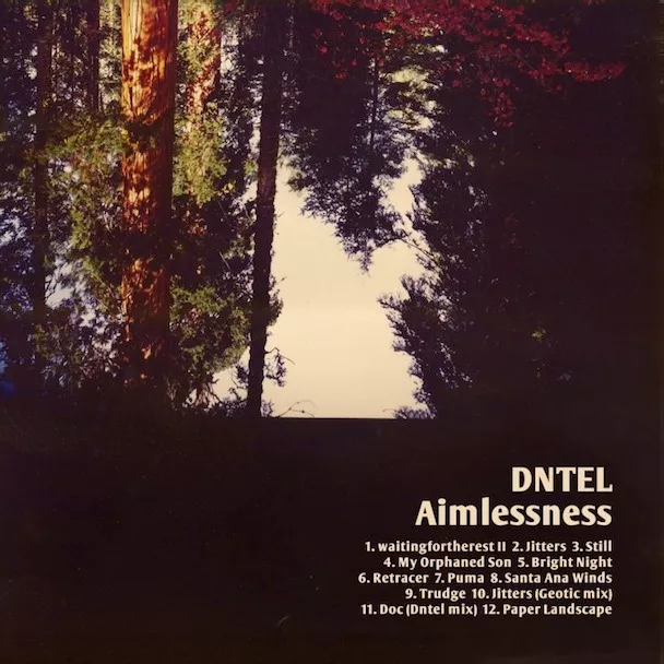 Aimlessness - Dntel