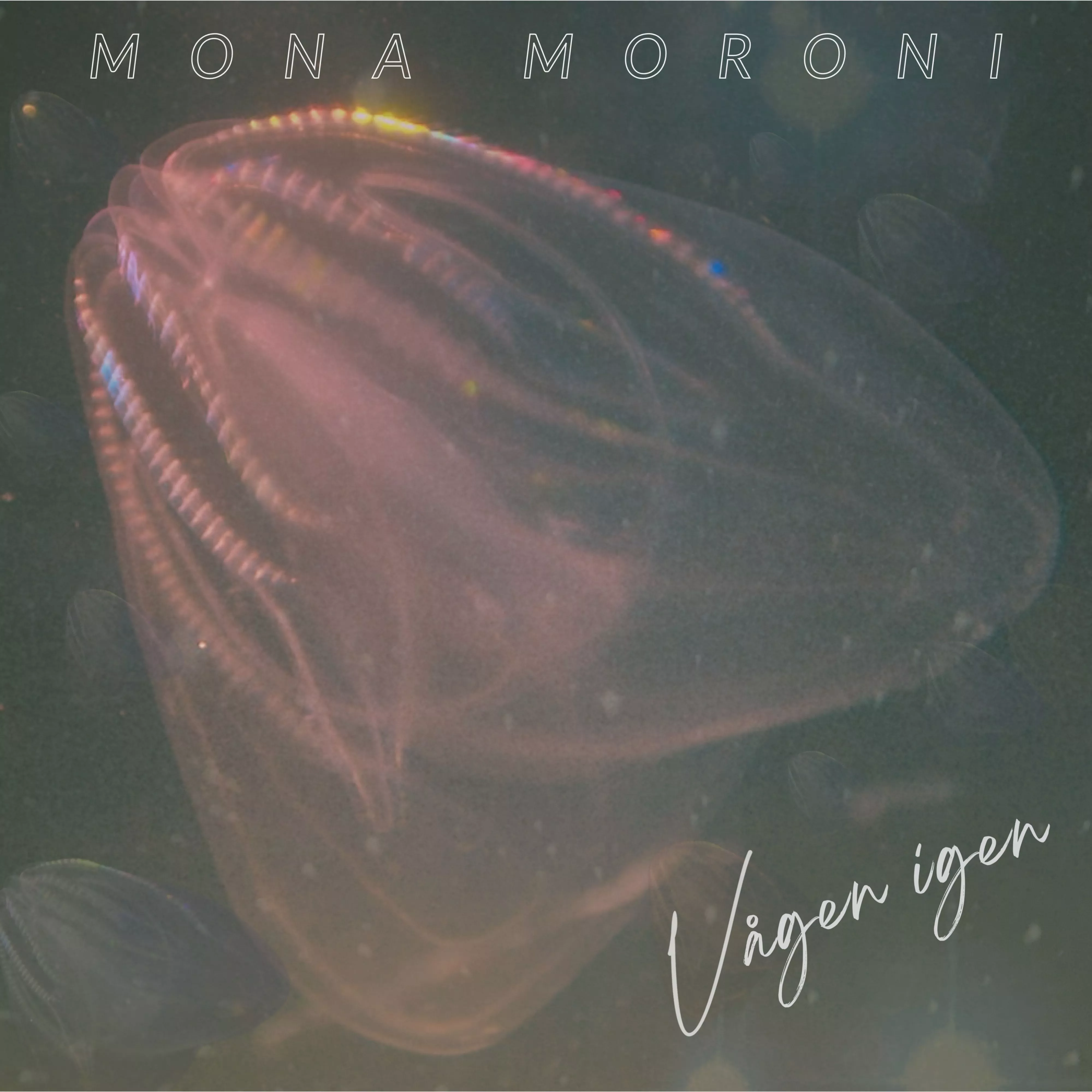 Vågen igen - Mona Moroni 