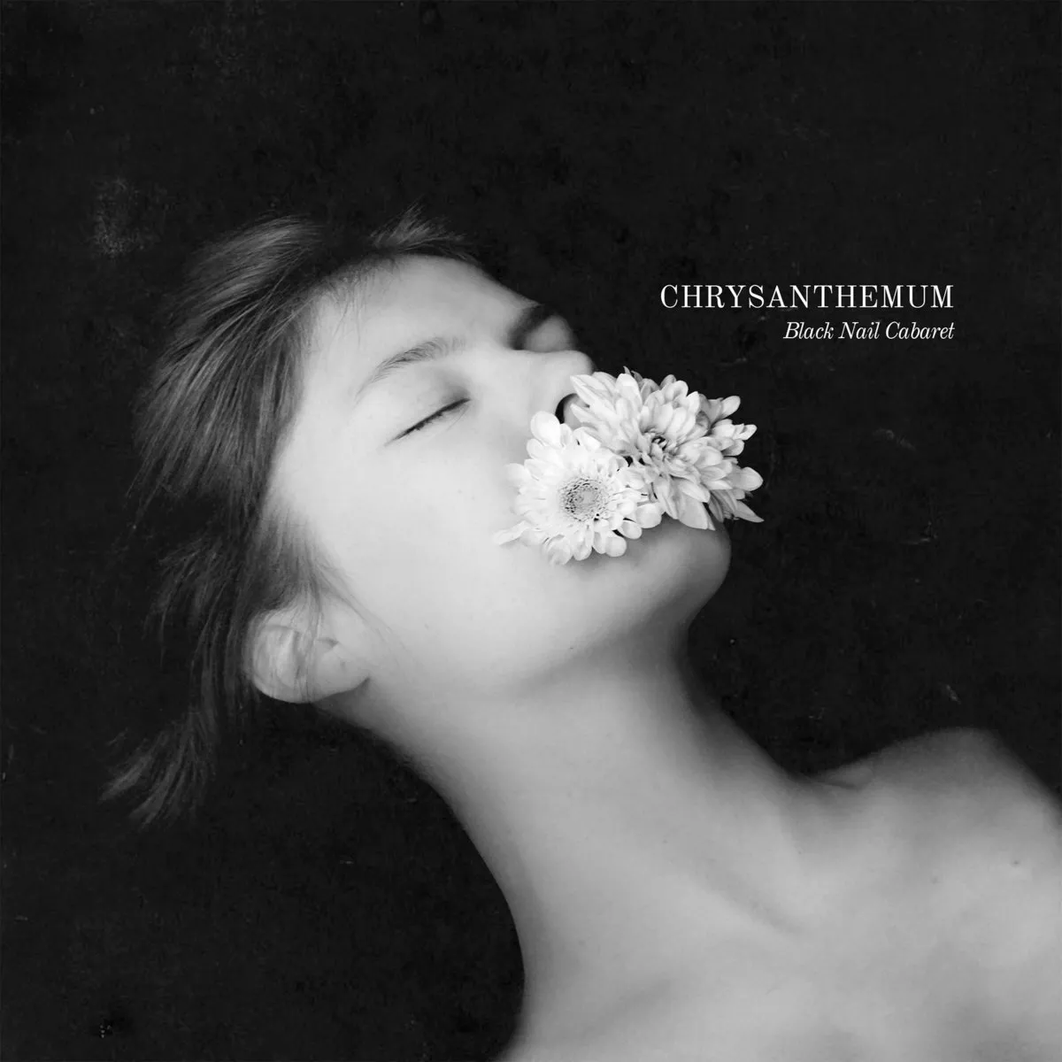 Chrysanthemum - Black Nail Cabaret