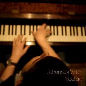 Seabird - Johannes Vidén