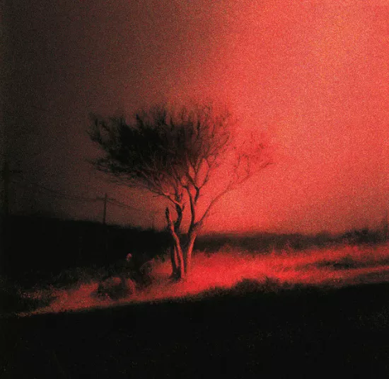 Piss in the Wind - Joji