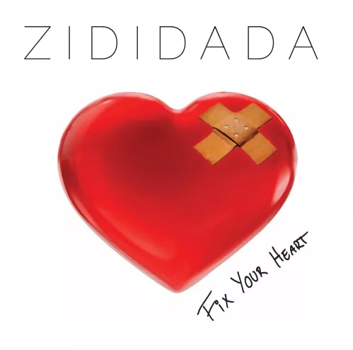 Fix Your Heart - Zididada