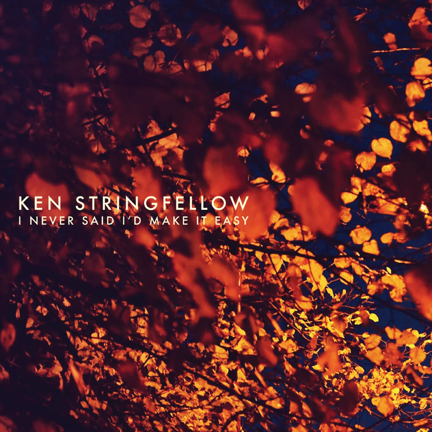 I Never Said I'd Make It Easy - Ken Stringfellow