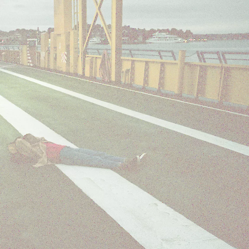 Wandered Away - Anna Leone