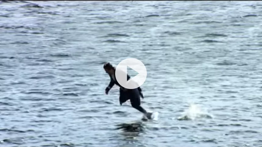 Se Harry Styles svæve og gå på vandet i ny video