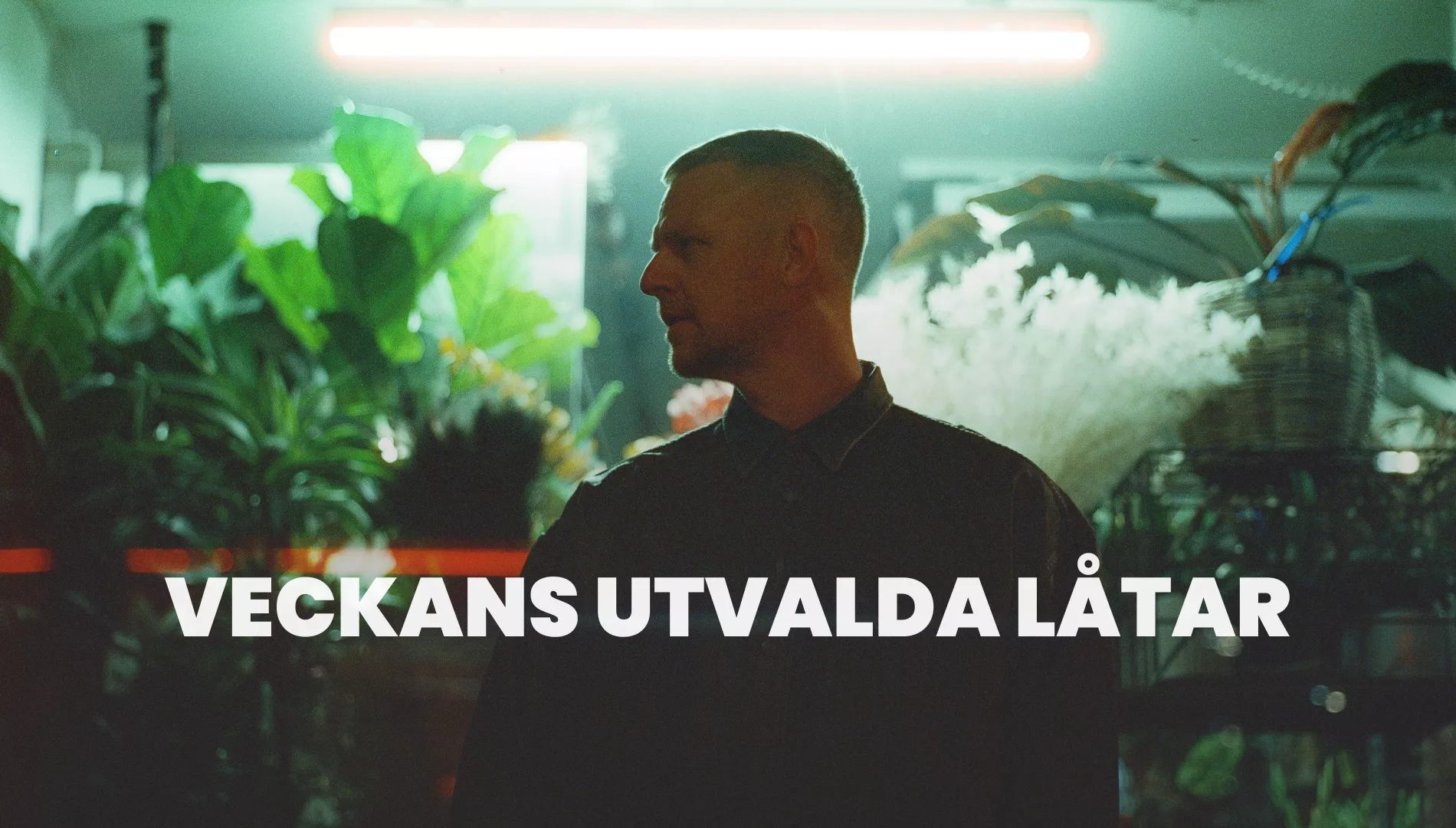 Familjen har släppt den nya singeln "Tiden står still".