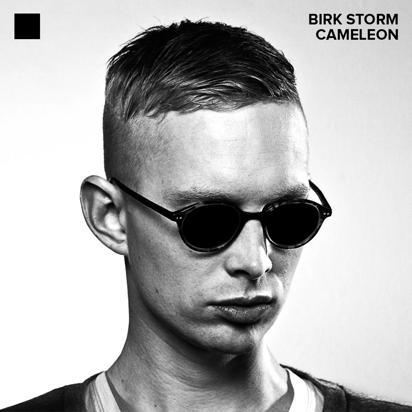 Cameleon - Birk Storm