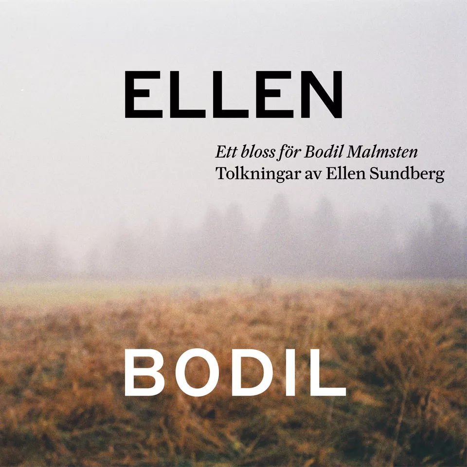 Ett Bloss För Bodil Malmsten - Ellen Sundberg