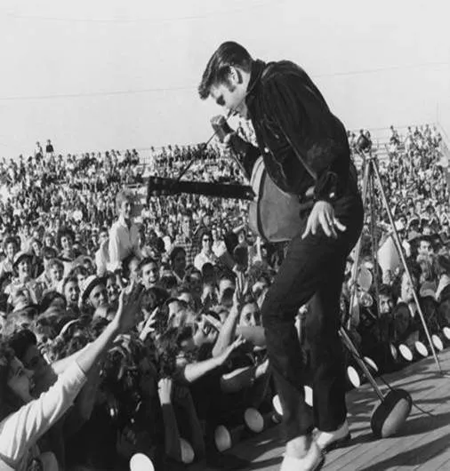 Elvis Presley: Viva Elvis - The Album