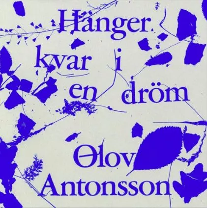 Hänger Kvar I En Dröm - Olov Antonsson