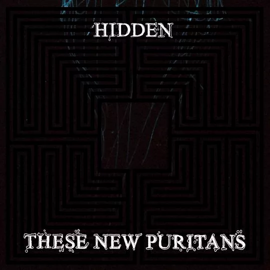 Hidden - These New Puritans