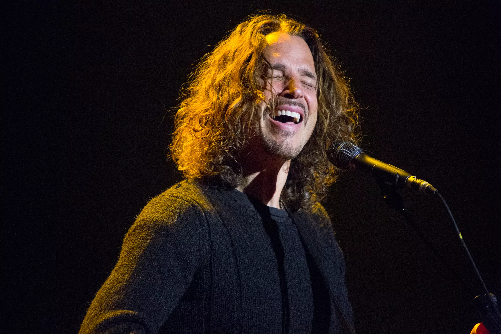 Chris Cornell aflyser aftenens koncert i Aalborg
