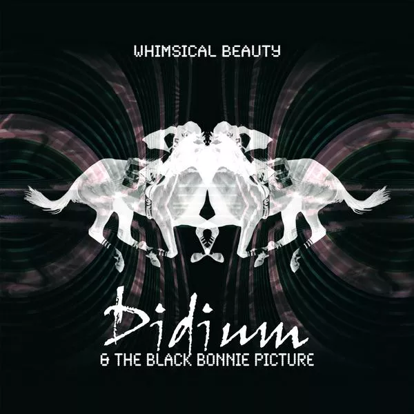 Whimsical Beauty - Didium And The Black Bonnie Picture