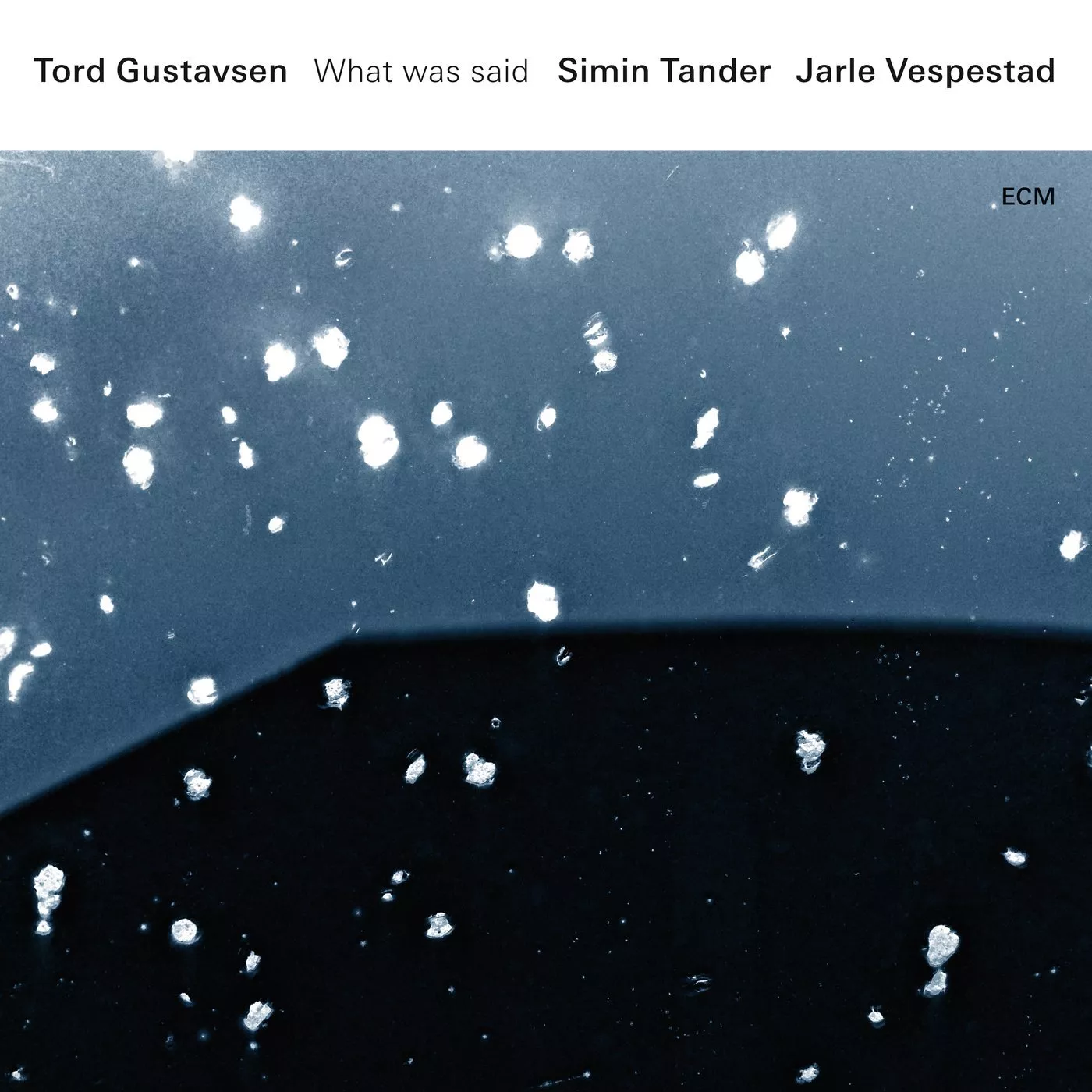 What Was Said - Tord Gustavsen