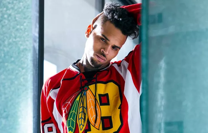 Chris Brown anholdt for voldtægt