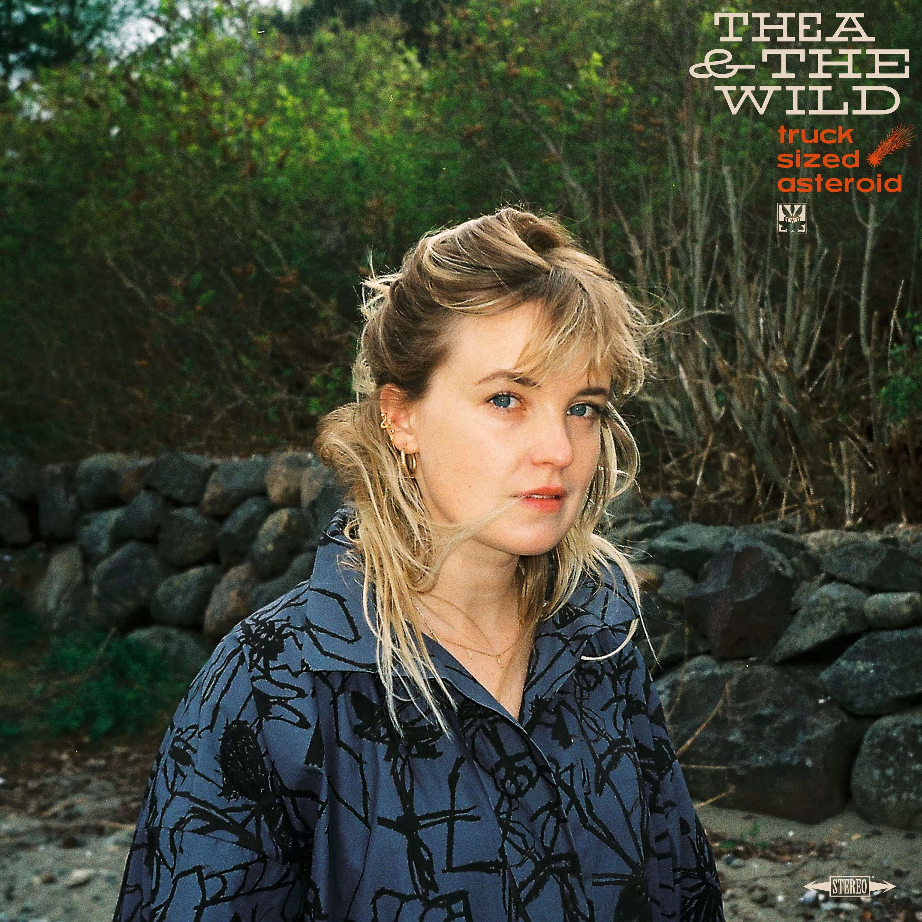 Truck Sized Asteroid - Thea & The Wild