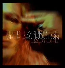 The Pleasures Of  Selfdestruction - Babybird