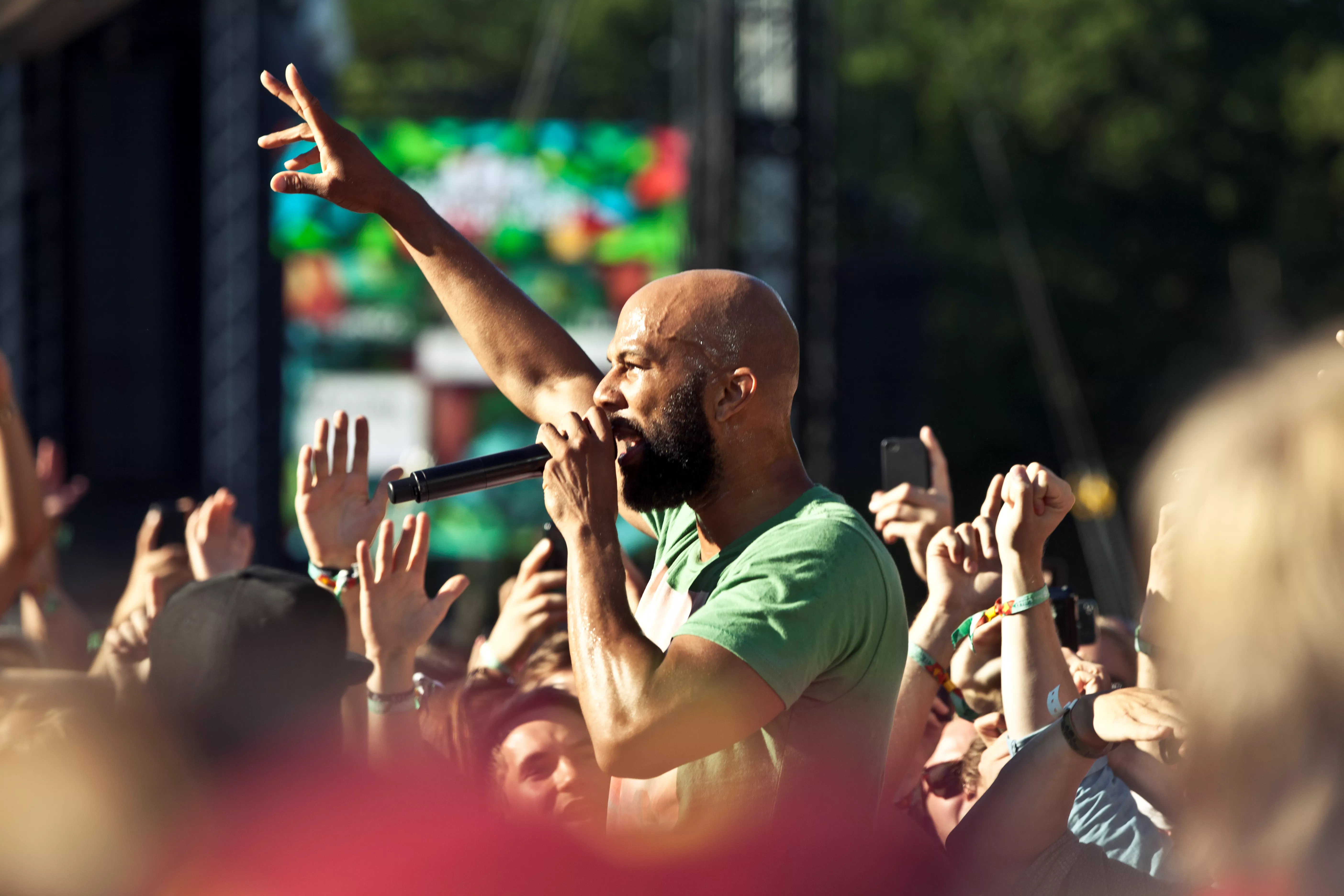 Common: Flamingo, Way Out West