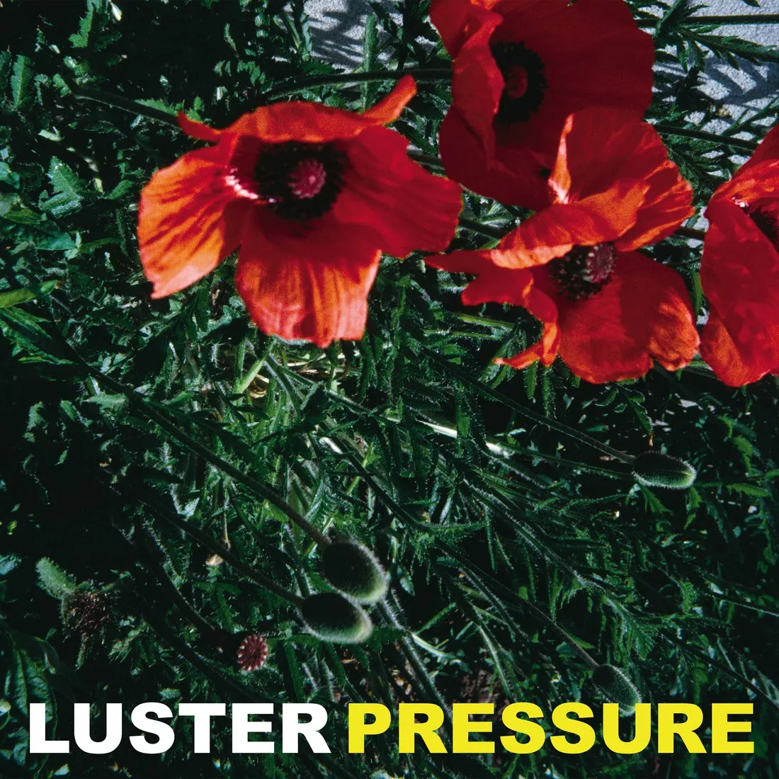 Pressure - Luster