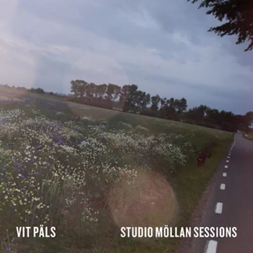 Studio Möllan Sessions - Vit Päls