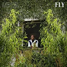 Fly - Mekdes