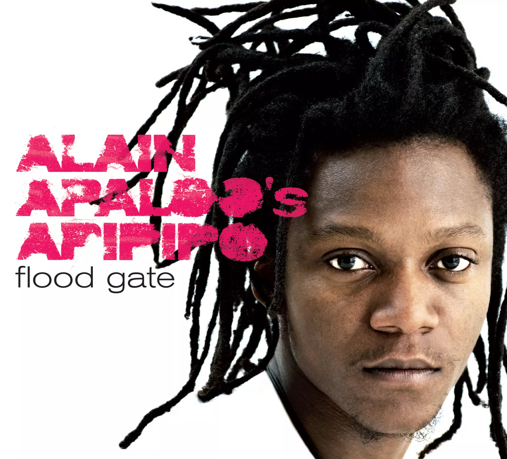 Flood Gate - Alain Apaloo