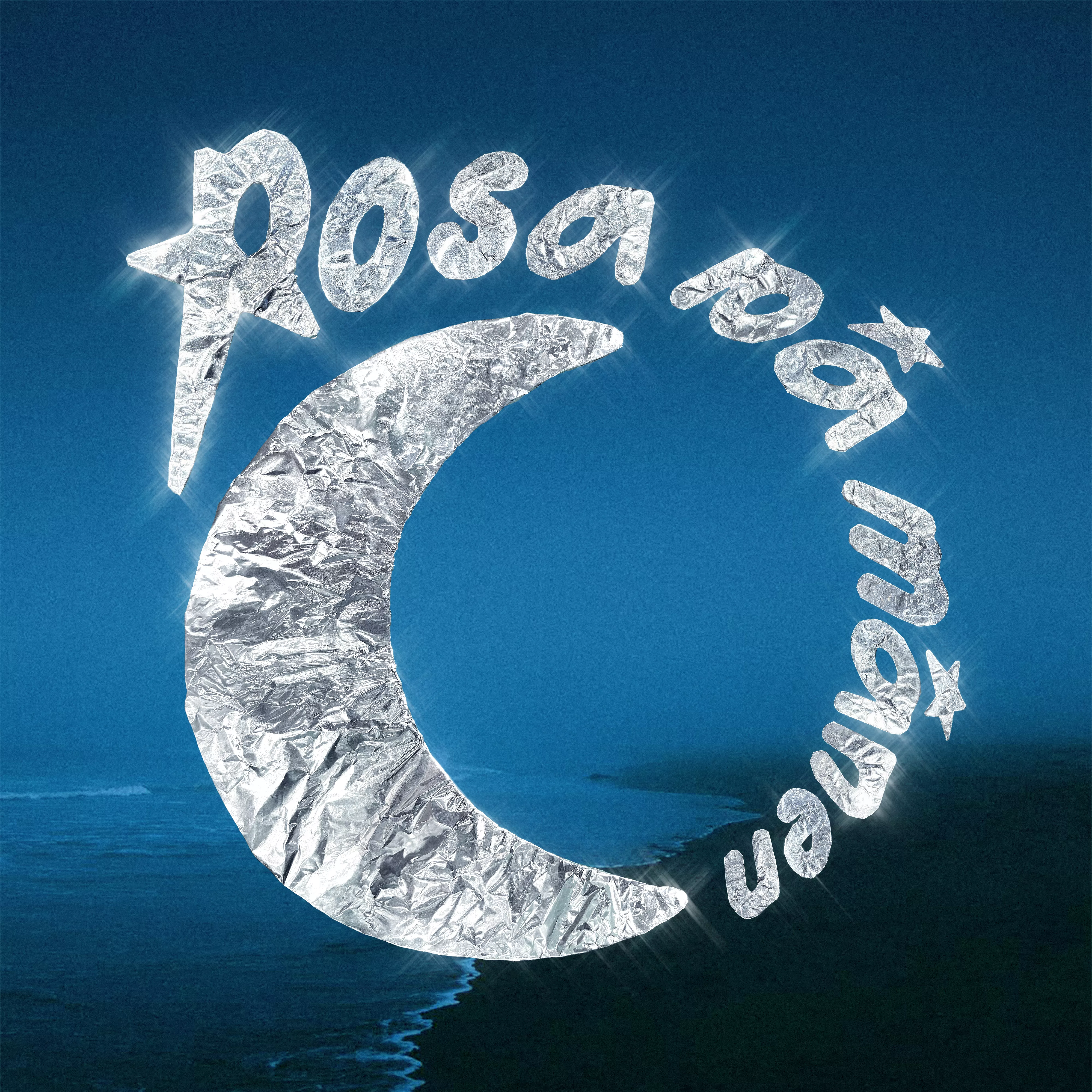 Bedst når intet fungerer - Rosa På Månen