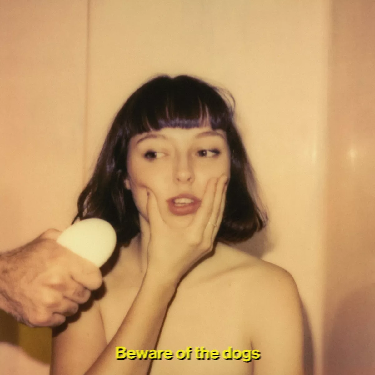 Beware of the Dogs - Stella Donnely