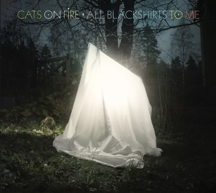 All Blackshirts to Me - Cats On Fire