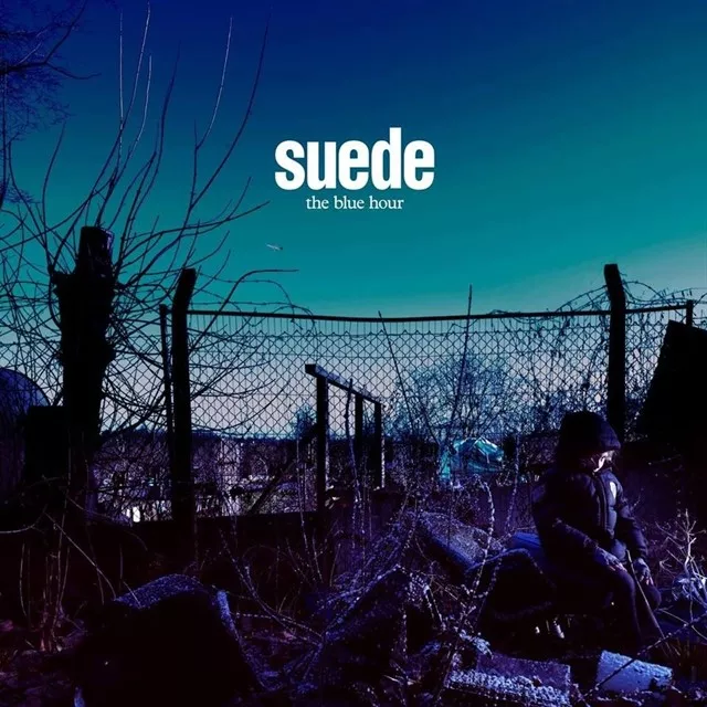 The Blue Hour - Suede