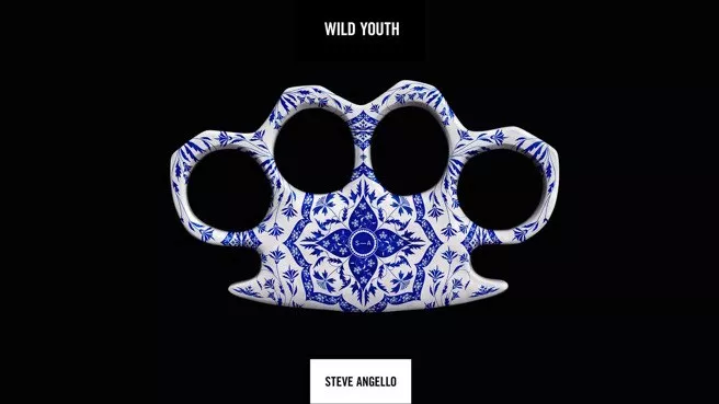 Wild Youth - Steve Angello