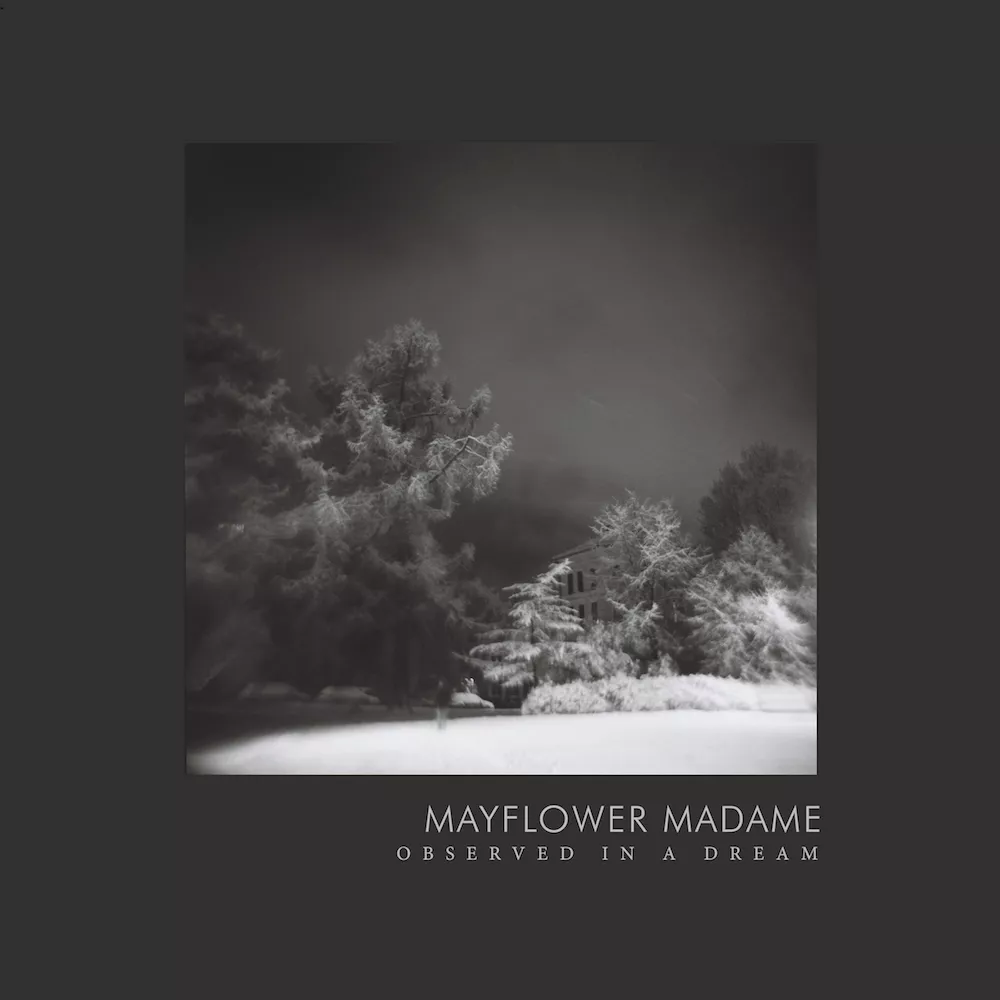 Observed In A Dream - Mayflower Madame