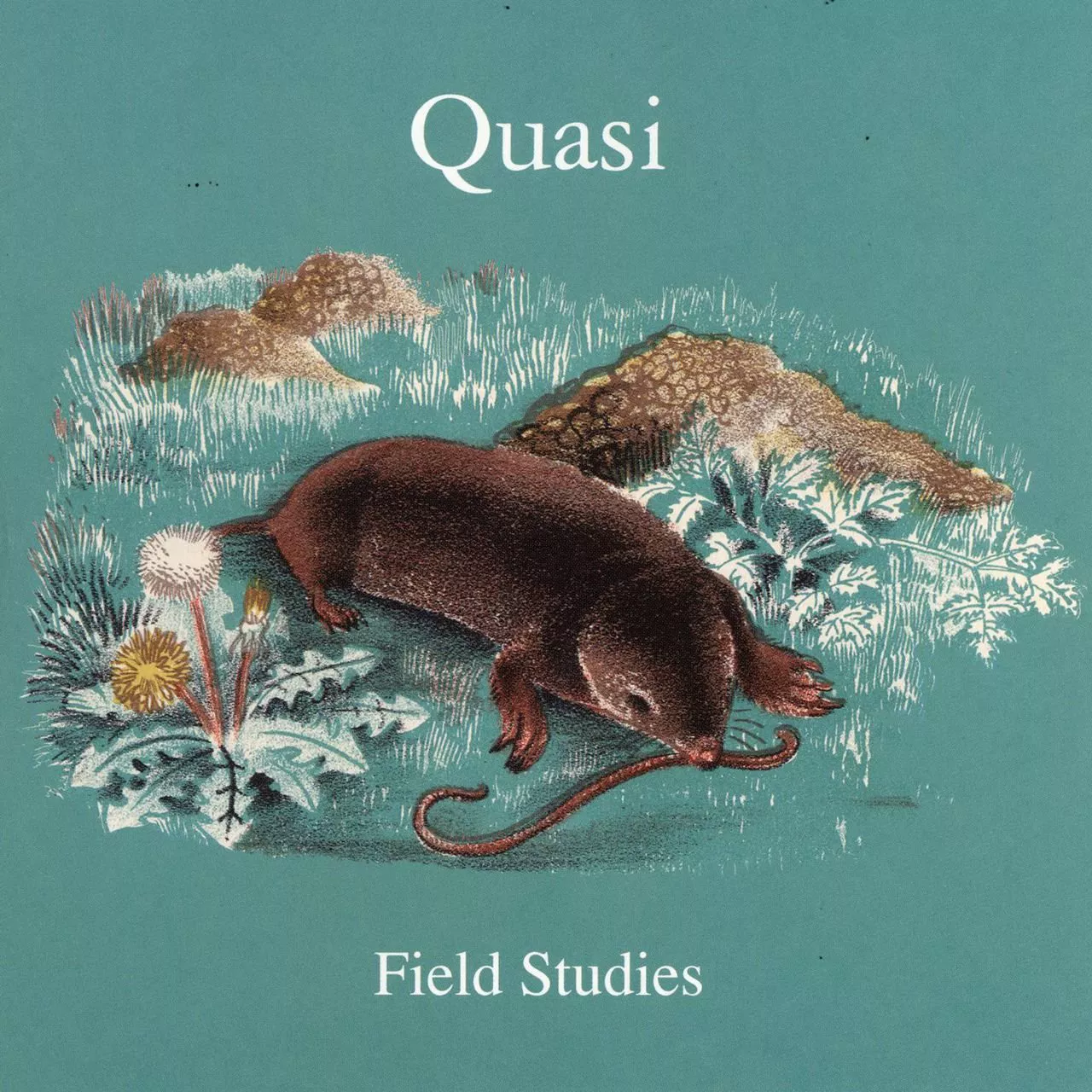 Field Studies - Quasi