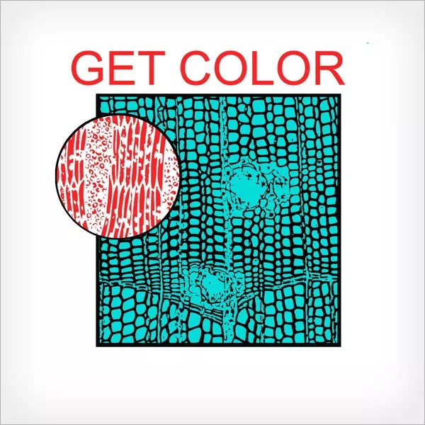 Get Color - HEALTH