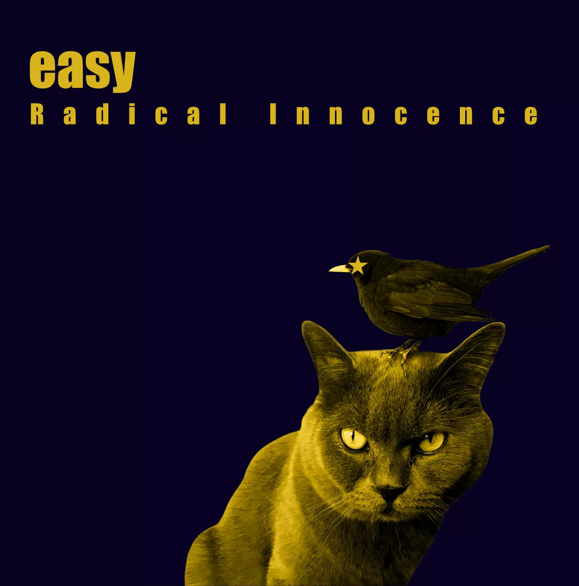 Radical Innocence  - Easy