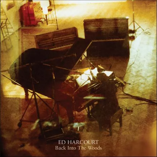 Back Into The Woods - Ed Harcourt