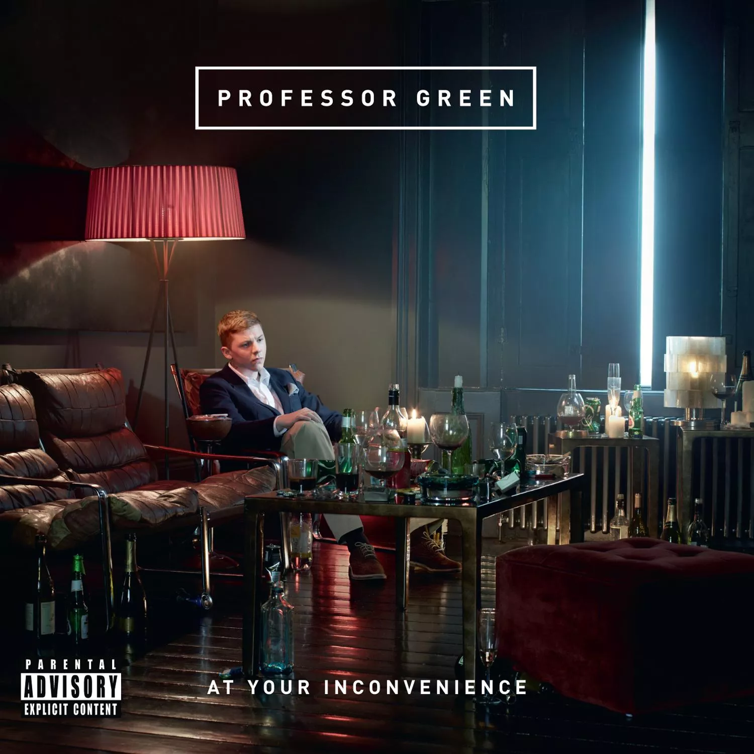 At Your Inconvenience - Professor Green