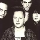 Genforenede Pixies til Hultsfreds Festival